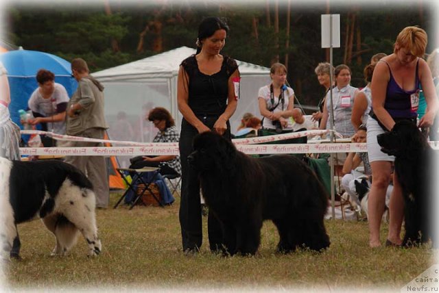 Фотография № 100918