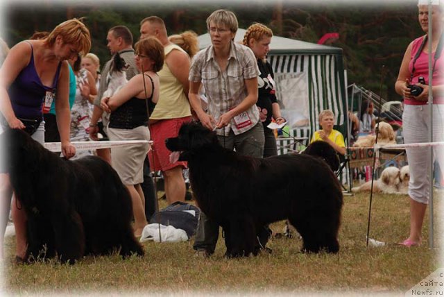 Фотография № 100921