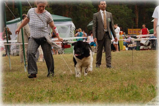 Фотография № 100926