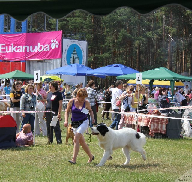 Фотография № 100931