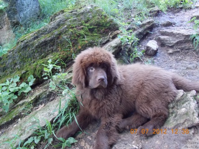 Фотография № 100954