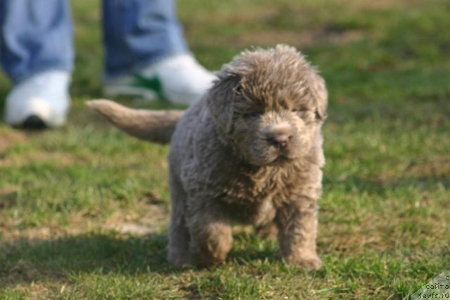 Фотография № 100960