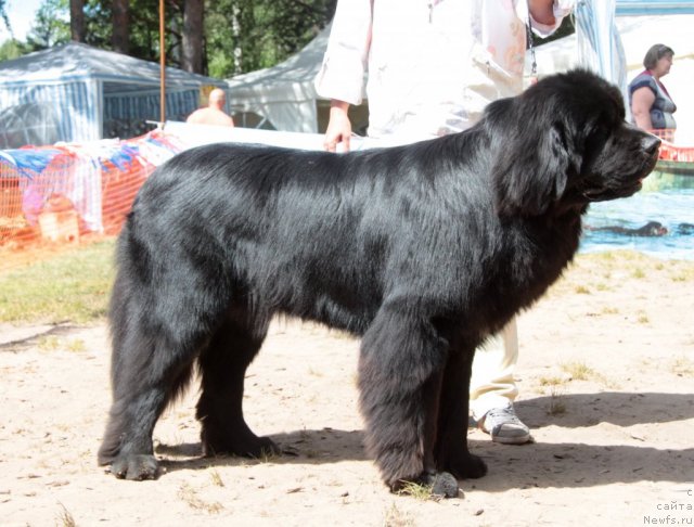 Фотография № 100983