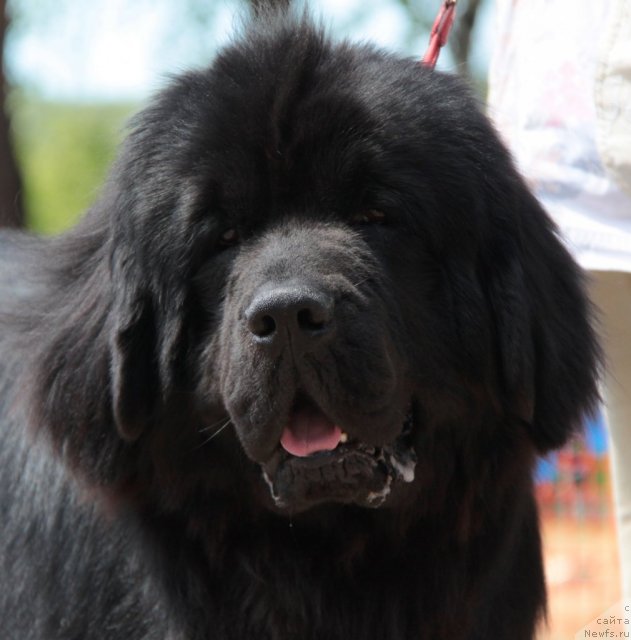 Фотография № 100984