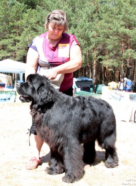 Фотография № 100987