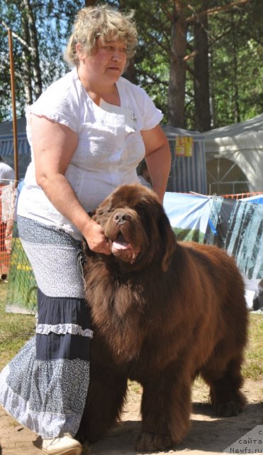 Фотография № 100996