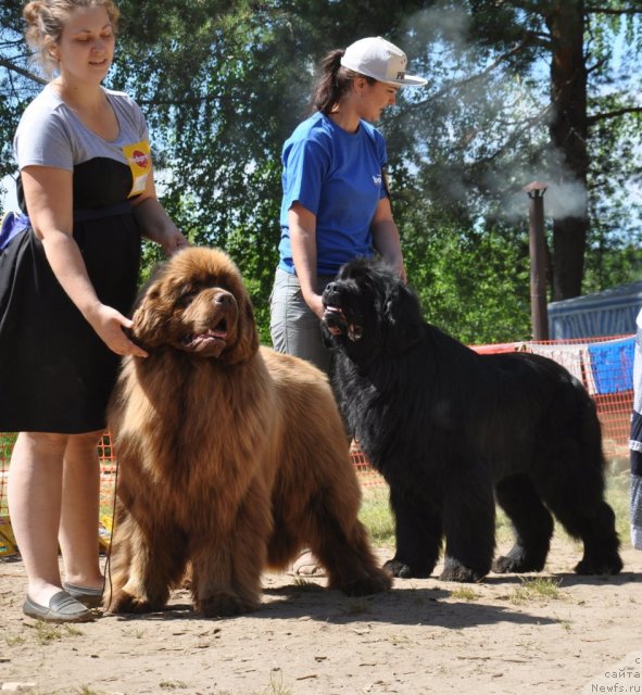 Фотография № 100997