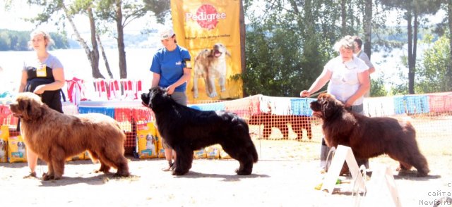 Фотография № 101000