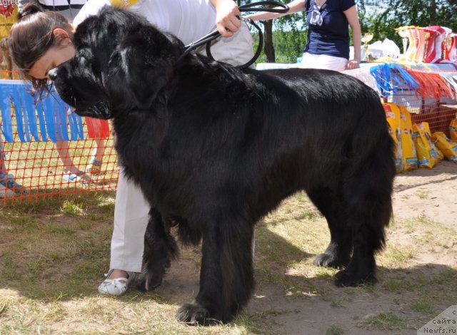 Фотография № 101006