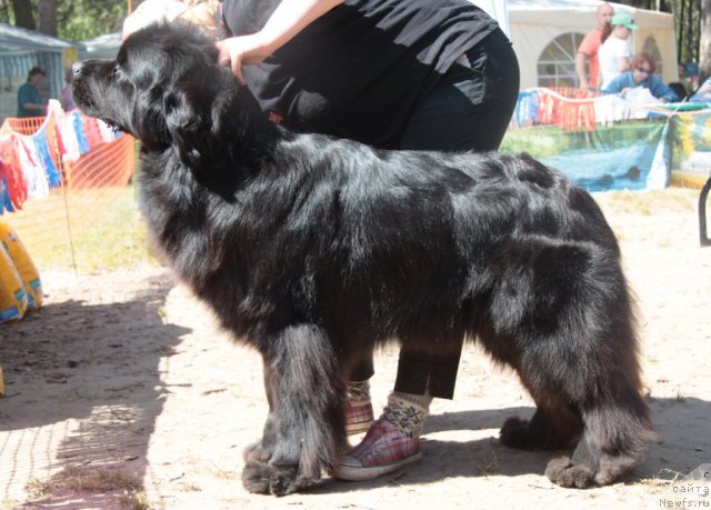 Фотография № 101023