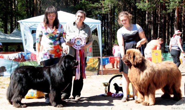 Фотография № 101029