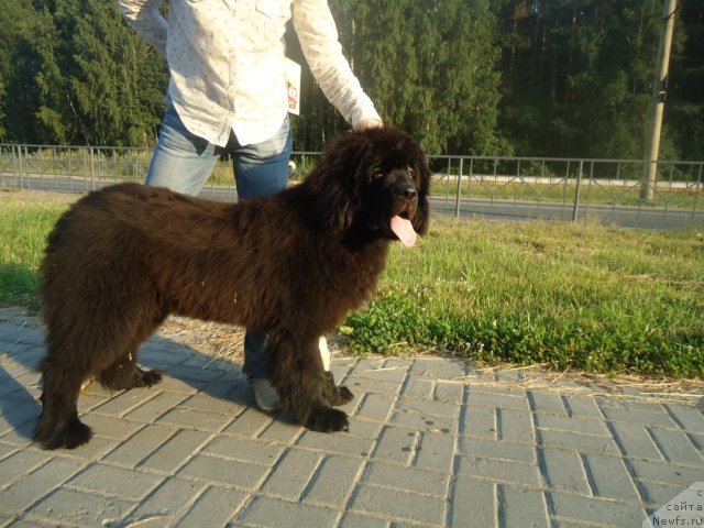 Фотография № 101036