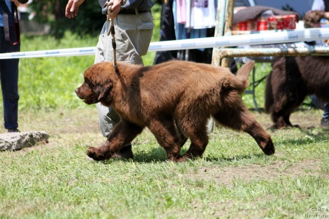 Фотография № 101058