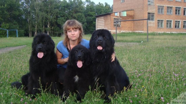 Фотография № 101061