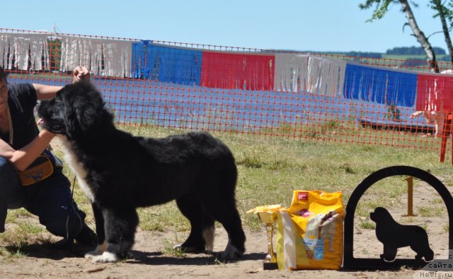 Фотография № 101082