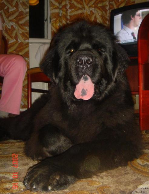 Фотография № 10109