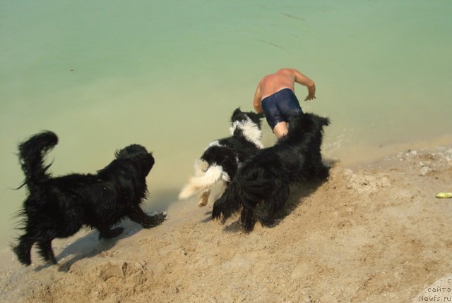 Фотография № 101147