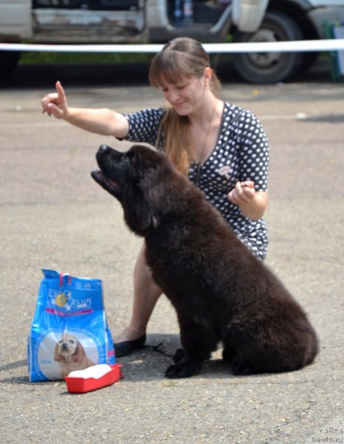 Фотография № 101149