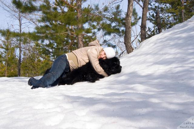 Фото: Надежда Момот, ньюфаундленд Юган с Тоянова Городка (Ygan s Toyanova Gorodka)