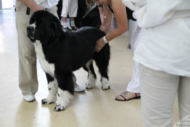 Фотография № 101167