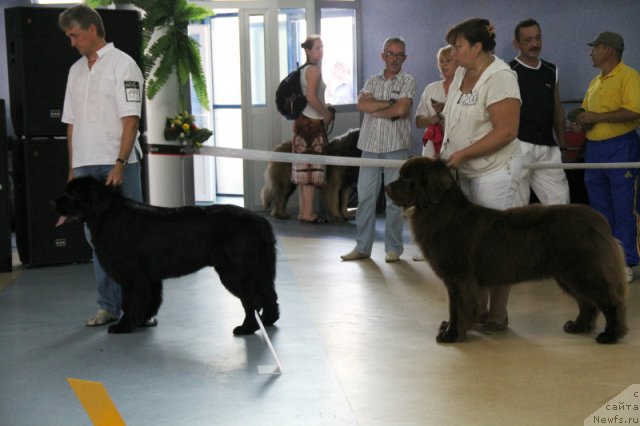 Фотография № 101168