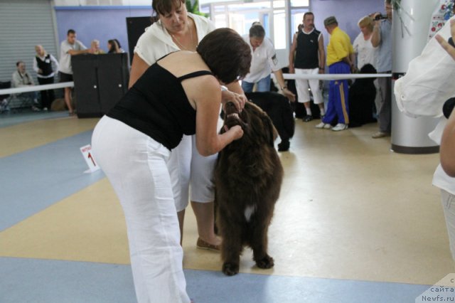 Фотография № 101173