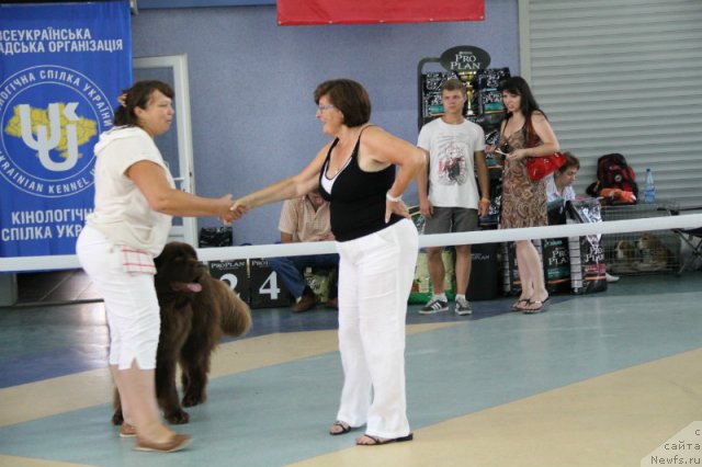 Фотография № 101179