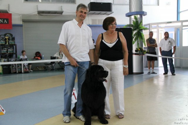 Фотография № 101182