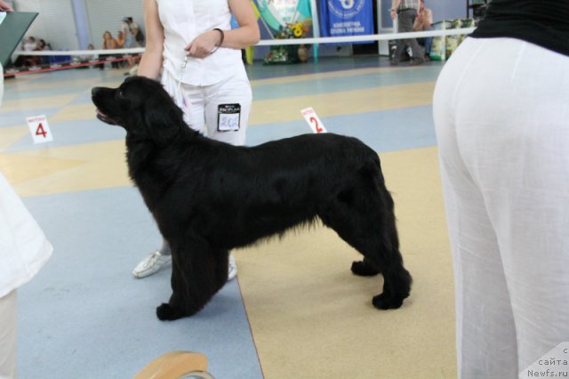 Фотография № 101185