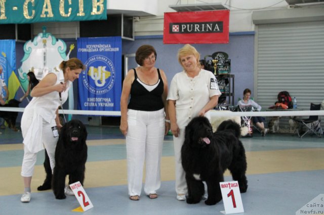 Фотография № 101190