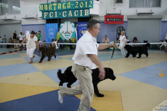 Фотография № 101192