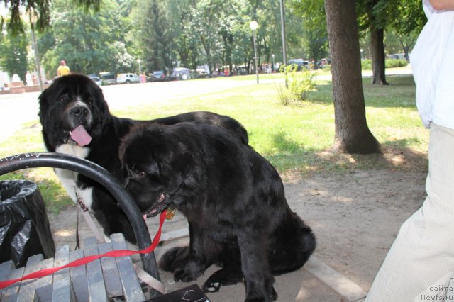 Фотография № 101194