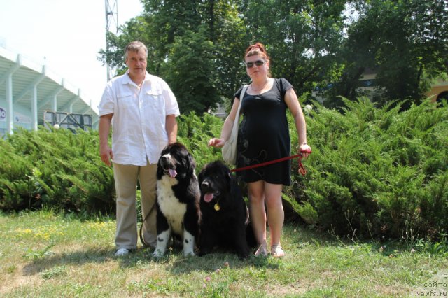 Фотография № 101195