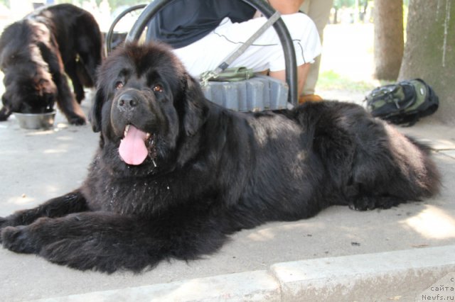 Фотография № 101197