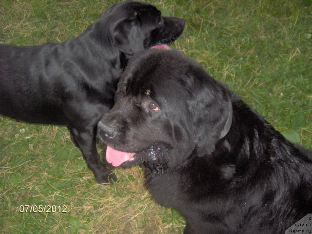 Фотография № 101203