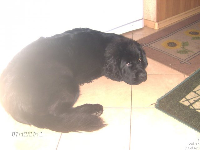 Фотография № 101204