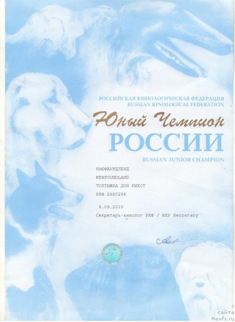 Фото: Светлана Федорова, ньюфаундленд Топтыжка Дон Кихот