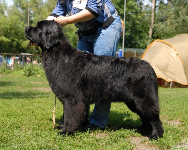 Фотография № 101214