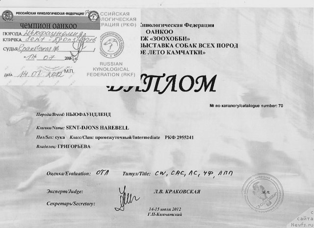 Фотография № 101228