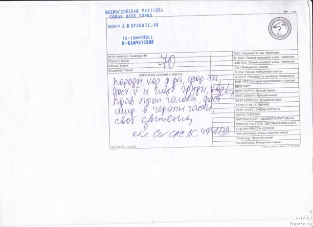 Фотография № 101229