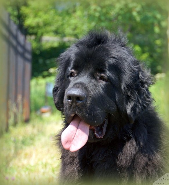 Фотография № 101232