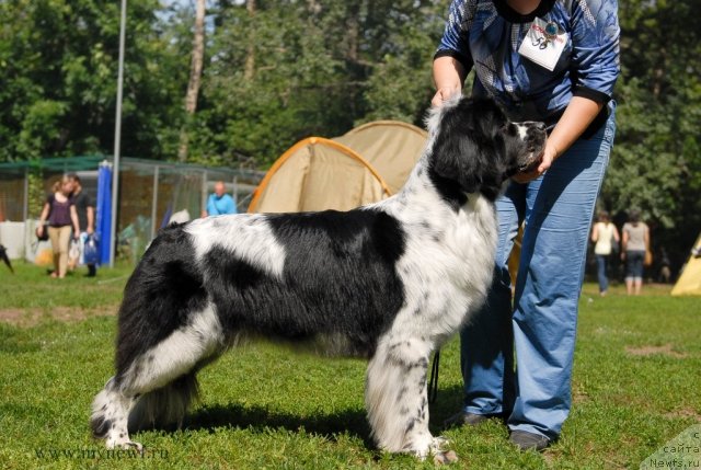 Фотография № 101258