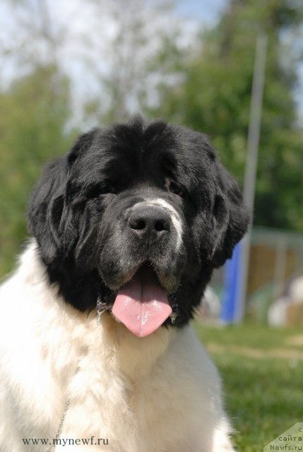 Фотография № 101264