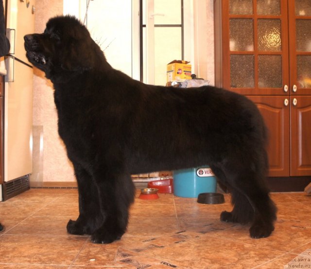 Фотография № 101303