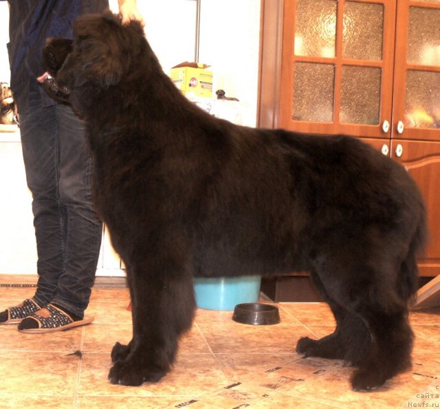 Фотография № 101304