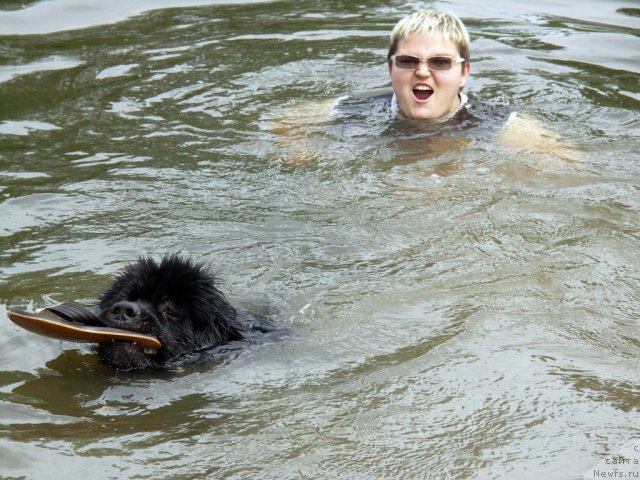 Фотография № 101309