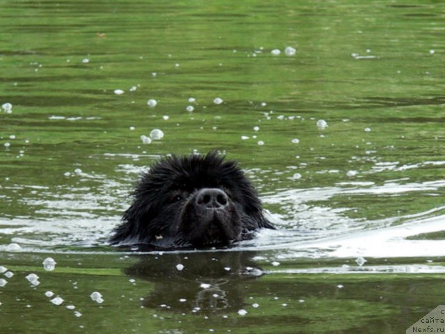 Фотография № 101310