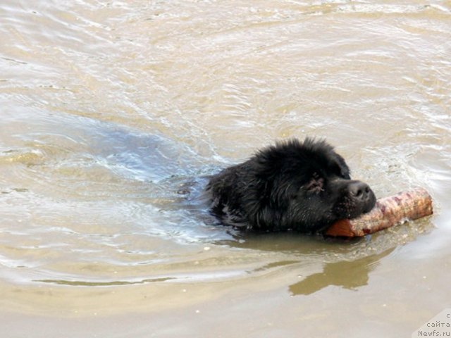 Фотография № 101313