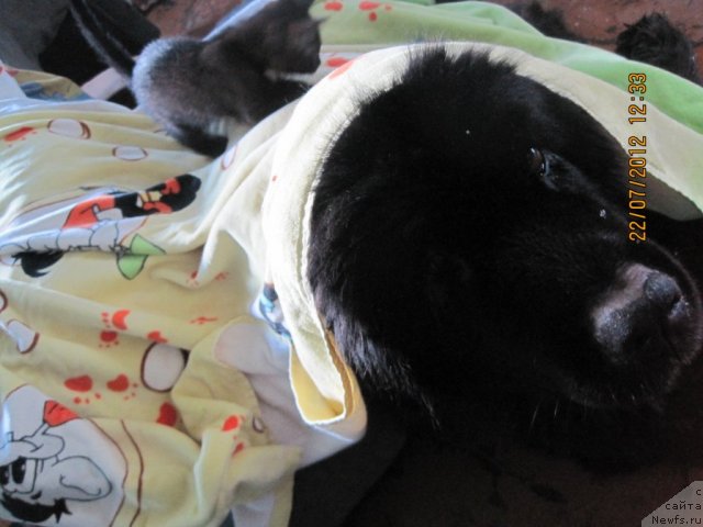 Фото: Валенсия