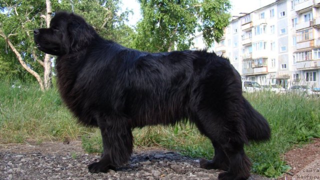 Фотография № 101475